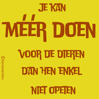 ik wil méér doen voor de dieren dan enkel hen niet opeten