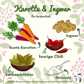 Fermentierte Möhren - Ein buntes Ferment für den Sommer!