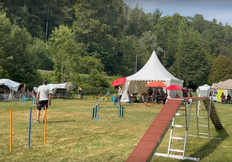 Hundesportplatz mit Agility-Hindernissen auf Gras, mehreren weißen Zelten und Menschen im Hintergrund, umgeben von Bäumen.