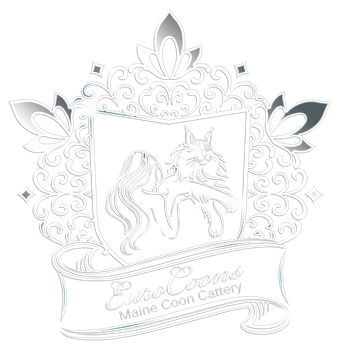 Maine Coon Cats for Sale | Maine Coon Kittens for Sale | Kansas City Missouri Serving Florida, California, New York, Massachusetts, Texas, Colorado Central USA