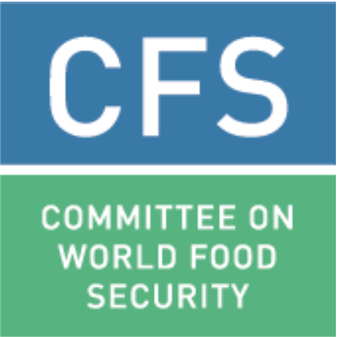 Global Forum on Food Security and Nutrition • FSN Forum