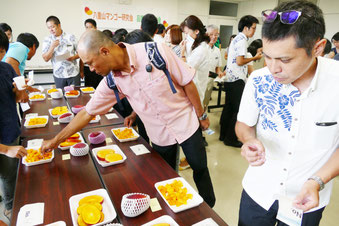 八重山のマンゴーをA試食する県職員ら=26日、県八重山合同庁舎