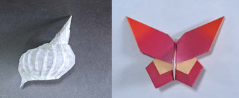講習作品(予定):「巻貝」「アゲハチョウ」