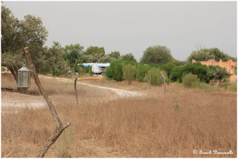 Maroc camping-car fourgon photo Franck Dassonville