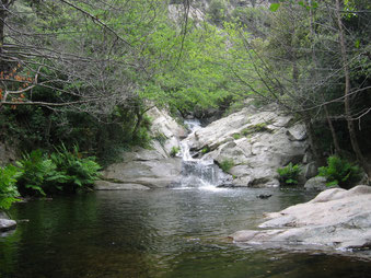 les caranques