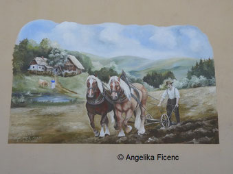 Landschaftsbild Schöllbüchl © Mag. Angelika Ficenc