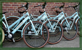 Foto: Symbolfoto Mietbikes