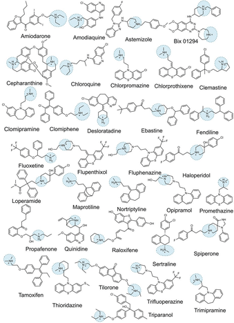 23 médicaments amphiphiles cationiques testés, dont l'hydroxychloroquine et l'azithromycine, pour lesquels la phospholipidose était corrélée de manière monotone avec l'efficacité antivirale. Aucun n'a d'activité in vivo. 