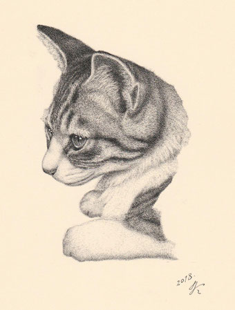 「猫の肖像15」 細密ペン画 220×180㎜