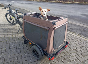 Foto zeigt eine DBX-110 Softbox auf dem Fahrgestell Liberty-piggyback 73