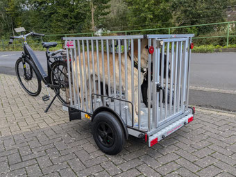 Die riesige Sicherheitsbox XXL, passend auf Plateau Liberty-piggyback 77-L 4-PT