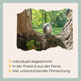 Sanfte Unterstützung für dein System – Schritt für Schritt zurück in Balance
