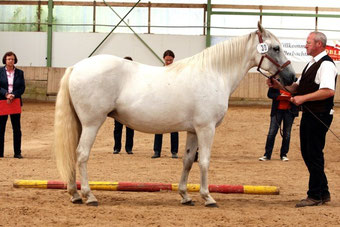 Ismara Berber Eintragung 2014