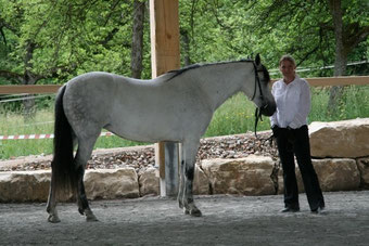 Kaffous Araber-Berber Eintragung 2008