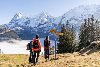 Bärentrek Via Alpina via Adelboden, Lenk, Gstaad oder Montreux