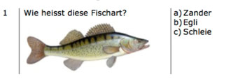 aus dem Fragekatalog Fischkunde der Jagd- und Fischereiverwaltung TG