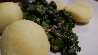 Kartoffelknödel mit Cashew-Grünkohl - fair4world