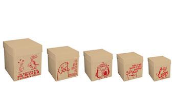 CUBO KRAFT VINTAGE LOVE 2025