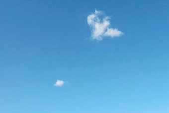 家の窓から撮影。素晴らしい秋空ですが明日から崩れるらしいです…。(;´д`)トホホ