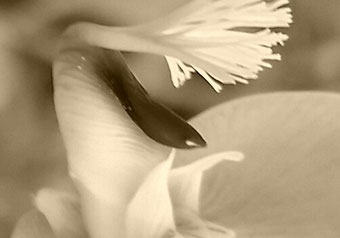 Frauen Sexuelle Lustvolle Tantra Massage Berlin Luxus Lifestyle Sexuelle Erregung Respekt   