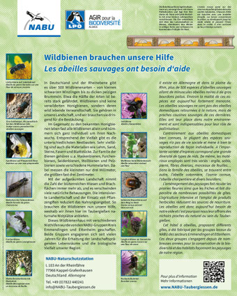 Infotafel Wildbienen Taubergießen