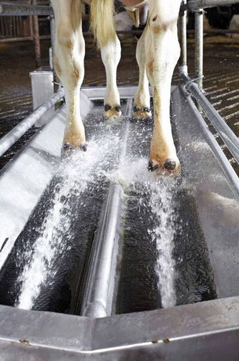 Agro-Widmer - Stalleinrichtungen - Klauenwaschanlage Vink