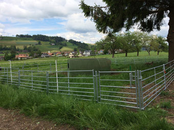 Agro-Widmer Stalleinrichtungen - Foto Kleintier- Schafabtrennung