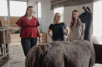 Personen stehen entspannt und ruhig in der Nähe des Lamas