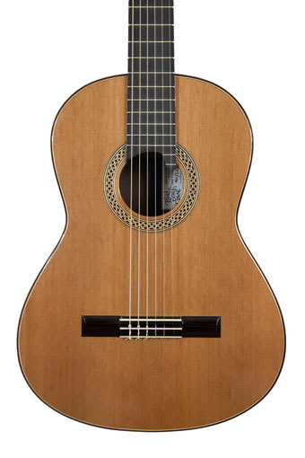 Elias Bonet Monné  - Guitare classique