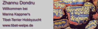 Tibet Terrier-Zwinger "Zhannu Dondru"