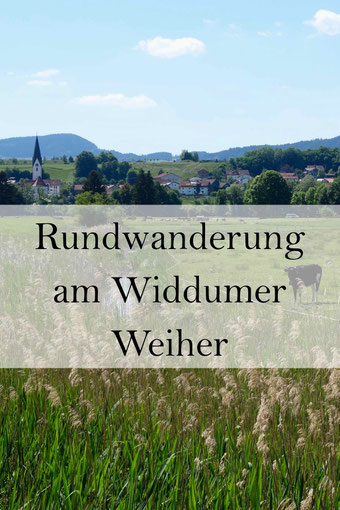 Wanderung im Allgäu: Naturschutzgebiet Widdumer Weiher, Natur erleben.