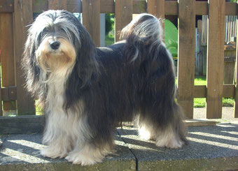 Toscas Mama aktuell