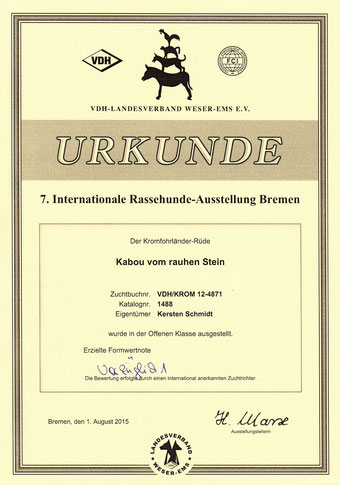 Kabous Urkunde von der Internationalen Rassehunde-Ausstellung in Bremen 2015