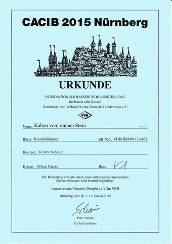 Kabous Urkunde von der Internationalen Rassehunde-Ausstellung in Nürnberg 2015