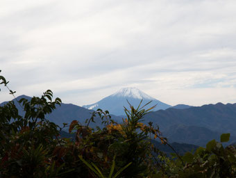 やっと雪の帽子をかぶった富士山
