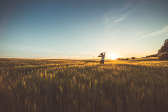 happy-girl-dancing-in-a-wheat-field-on-sunset-picjumbo-com