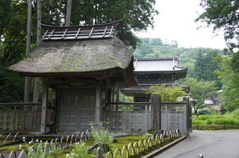 春日山林泉寺へ。セミの『大合唱』が聞こえました