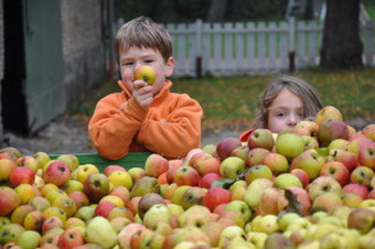 Apfelwochen Ferienbauernhof Neu-Rehberg Urlaub auf dem Bauernhof