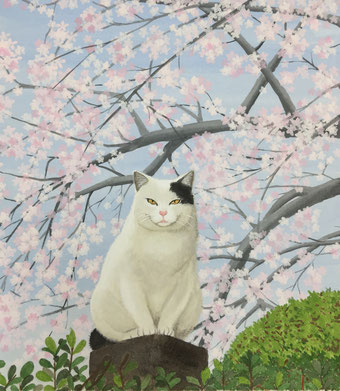 「桜と猫」