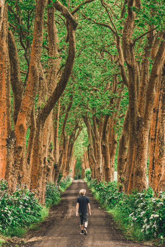 Strohhut Pictures Travel Accout Profilbild im Wald