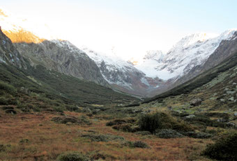 Unterhalb des Rotfirn-Gletschers, der 20 Hektaren grosse Erlenwald. Göscheneralp,
