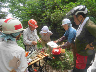目立ての見本です