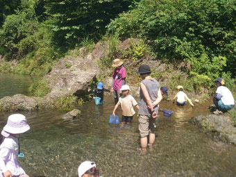 水のきれいな南浅川で