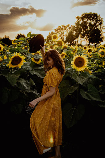 Sonnenblumenfeld – (c)Karolin Gillert
