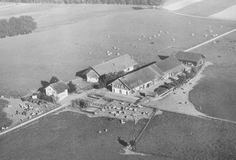 Wohnhaus und Stallungen um 1940