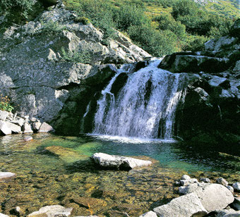 Wasser & Gesundheit – Impression 1