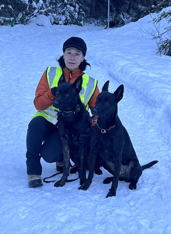 Siglinde mit den Holländischen Schäferhunden (Hollandse Herder) Bendis of Dark Doom & Apache