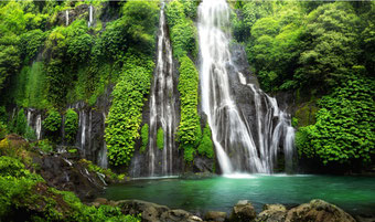 Guided tour to stunning Banyumala Waterfall from Lovina 