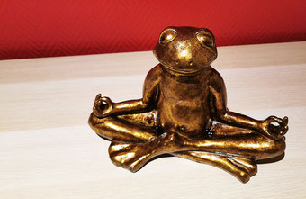 Frosch mag Yoga