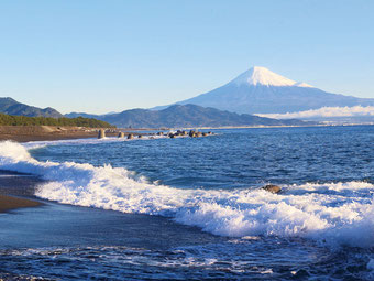 写真提供：静岡県観光協会
